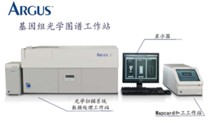 全基因組光學圖譜分析系統(tǒng) 數據處理的核心技術與應用