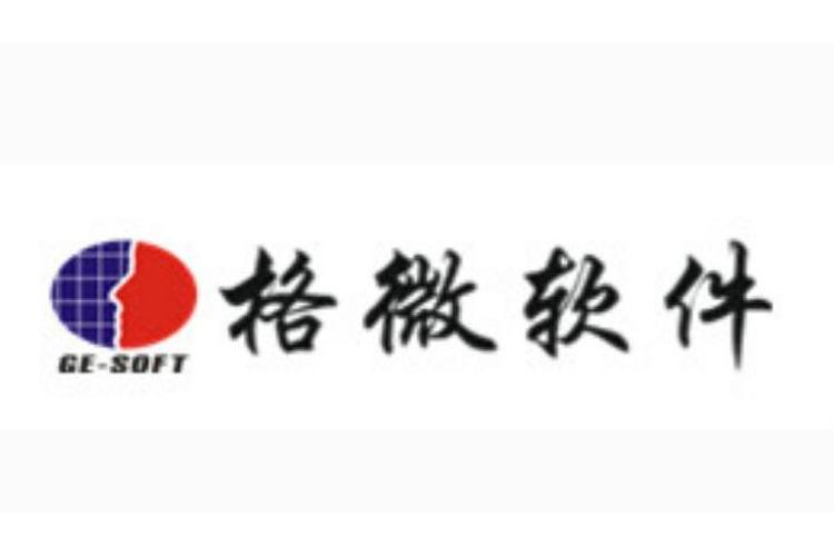 沈陽格微軟件 深耕行業(yè)，以技術(shù)驅(qū)動(dòng)數(shù)字化轉(zhuǎn)型